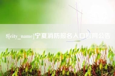 张家口宁夏消防报名入口官网公告