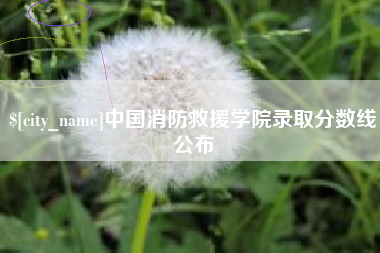 张家口中国消防救援学院录取分数线公布