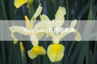 张家口九宫格优点