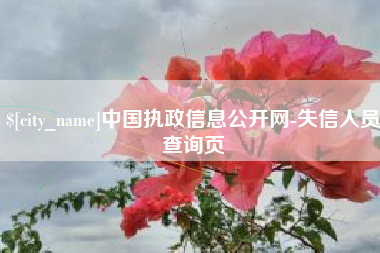 张家口中国执政信息公开网-失信人员查询页