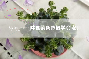 张家口中国消防救援学院 老师