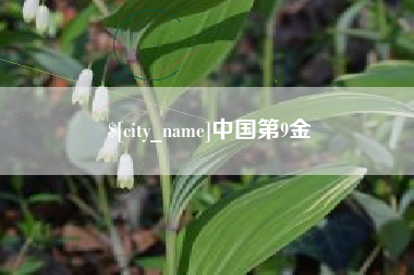 张家口中国第9金