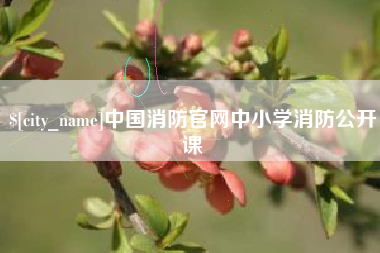 张家口中国消防官网中小学消防公开课