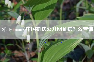 张家口中国执法公开网征信怎么查询