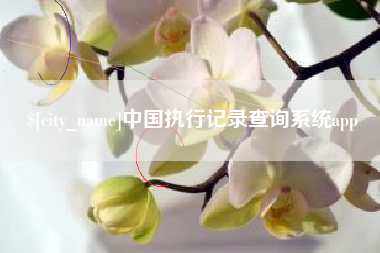 张家口中国执行记录查询系统app