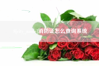 张家口消防证怎么查询系统