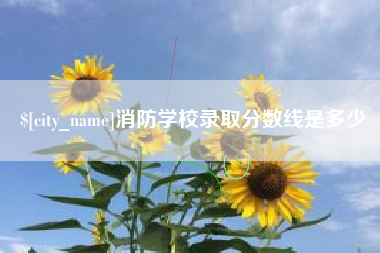 张家口消防学校录取分数线是多少