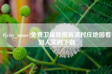 张家口免费卫星地图高清村庄地图看到人实时下载