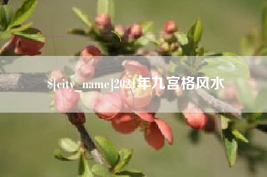 张家口2021年九宫格风水