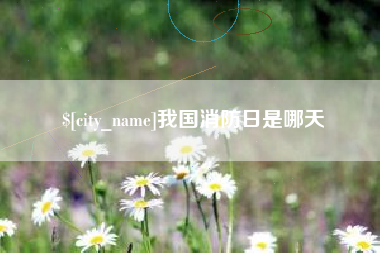 张家口我国消防日是哪天