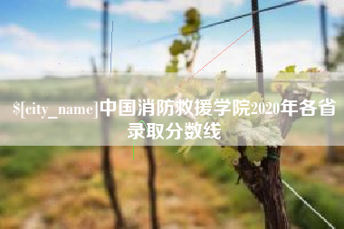 张家口中国消防救援学院2020年各省录取分数线