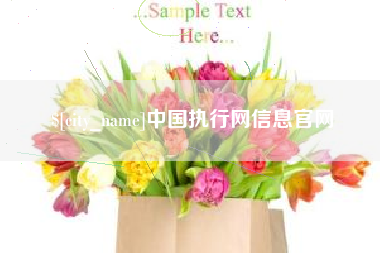 张家口中国执行网信息官网