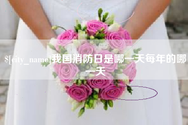 张家口我国消防日是哪一天每年的哪一天