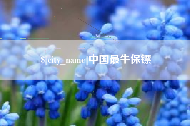 张家口中国最牛保镖