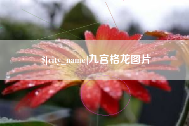 张家口九宫格龙图片