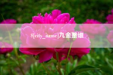 张家口九金是谁