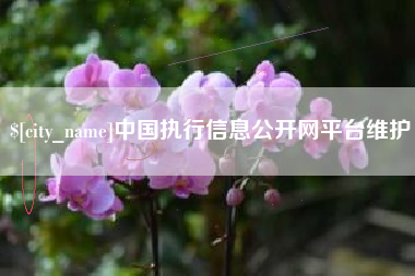 张家口中国执行信息公开网平台维护
