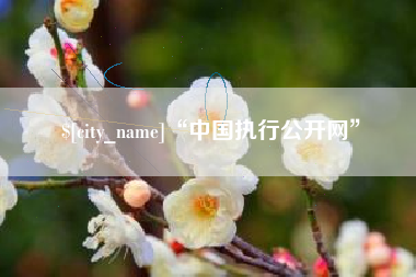 张家口“中国执行公开网”