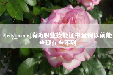 张家口消防职业技能证书查询以前能查现在查不到