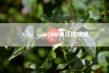 张家口5000米及格成绩