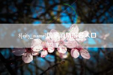 张家口国家消防报名入口