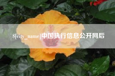 张家口中国执行信息公开网后