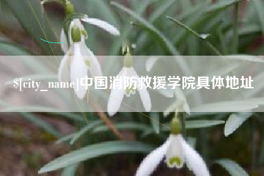 张家口中国消防救援学院具体地址