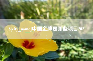 张家口中国金牌是哪些项目2021