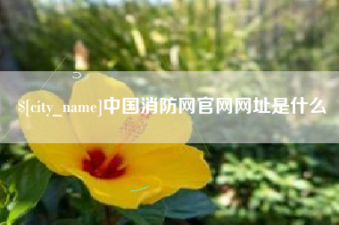 张家口中国消防网官网网址是什么