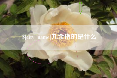 张家口九金指的是什么