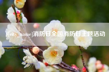 张家口消防日全国消防日主题活动