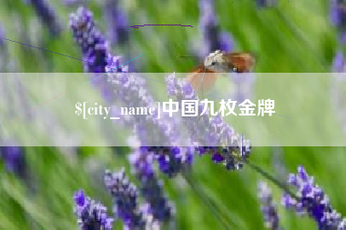 张家口中国九枚金牌