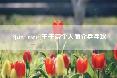 张家口王子豪个人简介乒乓球