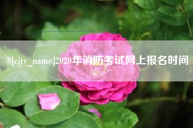 张家口2020年消防考试网上报名时间