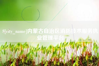 张家口内蒙古自治区消防技术服务执业管理平台