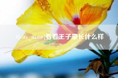 张家口看看王子豪长什么样