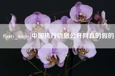 张家口中国执行信息公开网真的假的