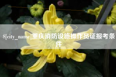 张家口重庆消防设施操作员证报考条件
