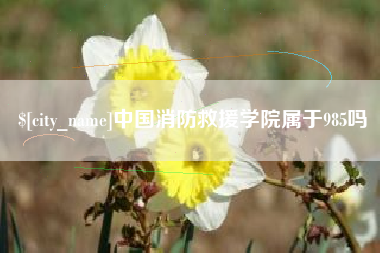 张家口中国消防救援学院属于985吗