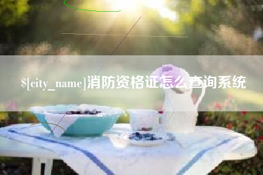张家口消防资格证怎么查询系统