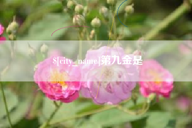 张家口第九金是