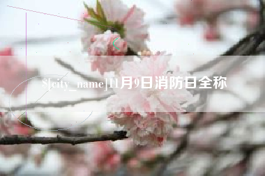 张家口11月9日消防日全称