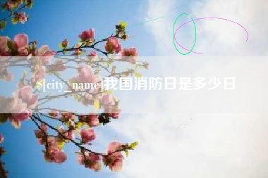 张家口我国消防日是多少日