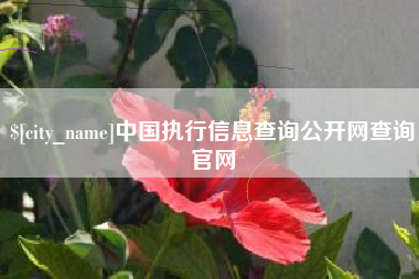 张家口中国执行信息查询公开网查询官网