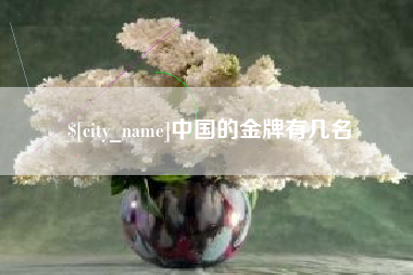 张家口中国的金牌有几名