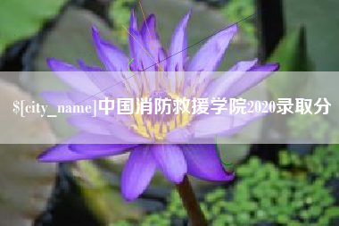 张家口中国消防救援学院2020录取分
