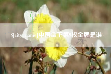 张家口中国拿下第9枚金牌是谁
