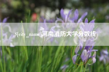 张家口河南消防大学分数线