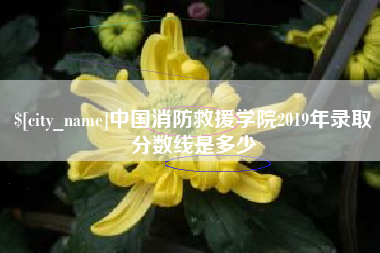 张家口中国消防救援学院2019年录取分数线是多少