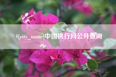 张家口中国执行网公开查询